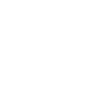 Falconbet 500x500_white